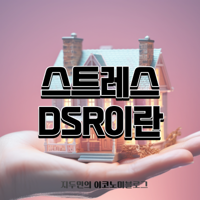 스트레스 DSR의 도입과 그 배경