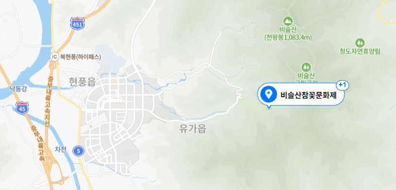 비슬산 참꽃축제