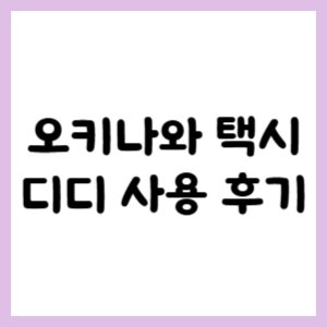 오키나와 택시 디디 사용 후기