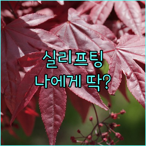 실리프팅, 초음파 리프팅 나에게 맞는