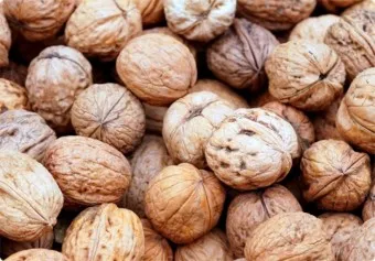 호두 효능 섭취량 칼로리_6