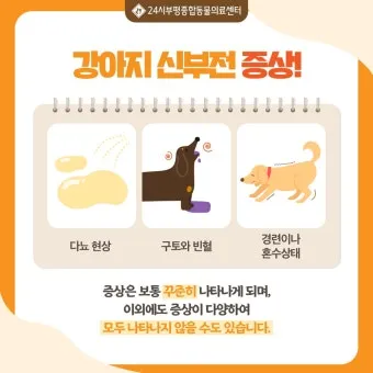 강아지 신부전에 좋은 음식 추천_4