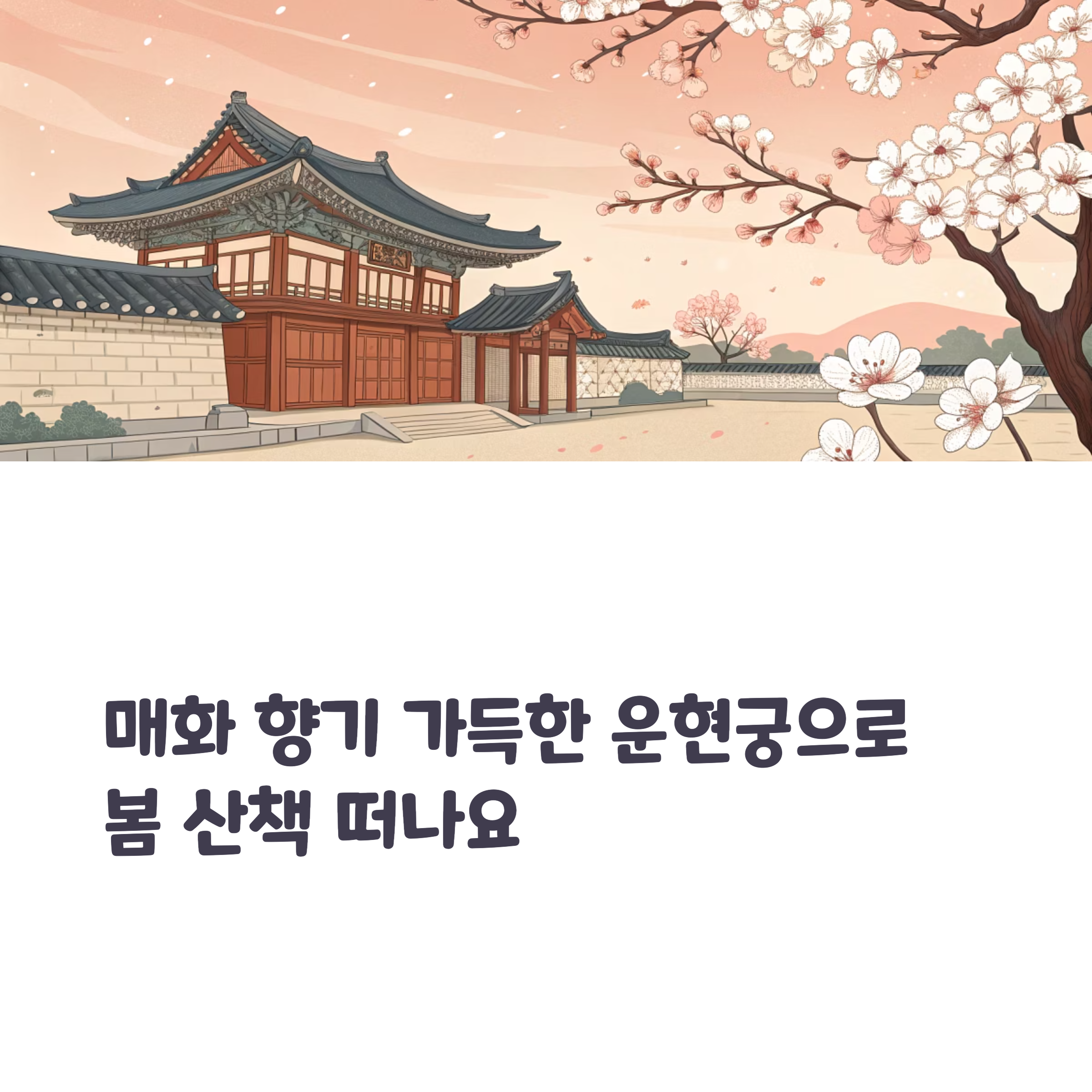운현궁 매화 명소의 매력, 고즈넉한 서울 봄날