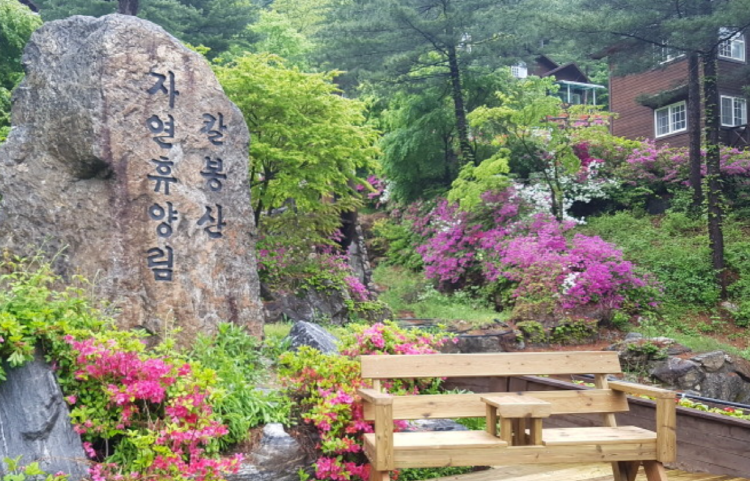 가평 가볼만한곳