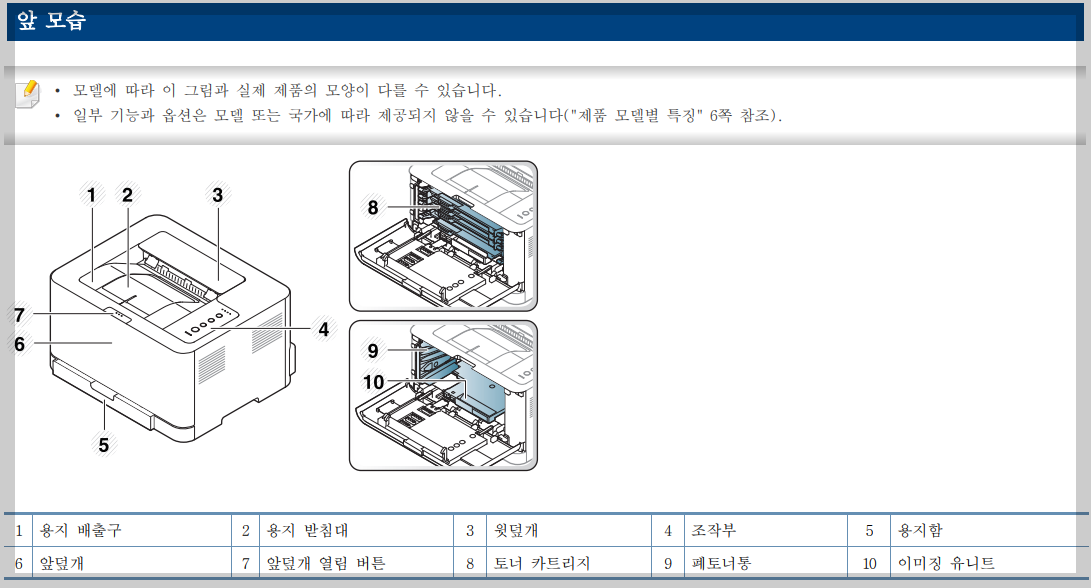 앞모습