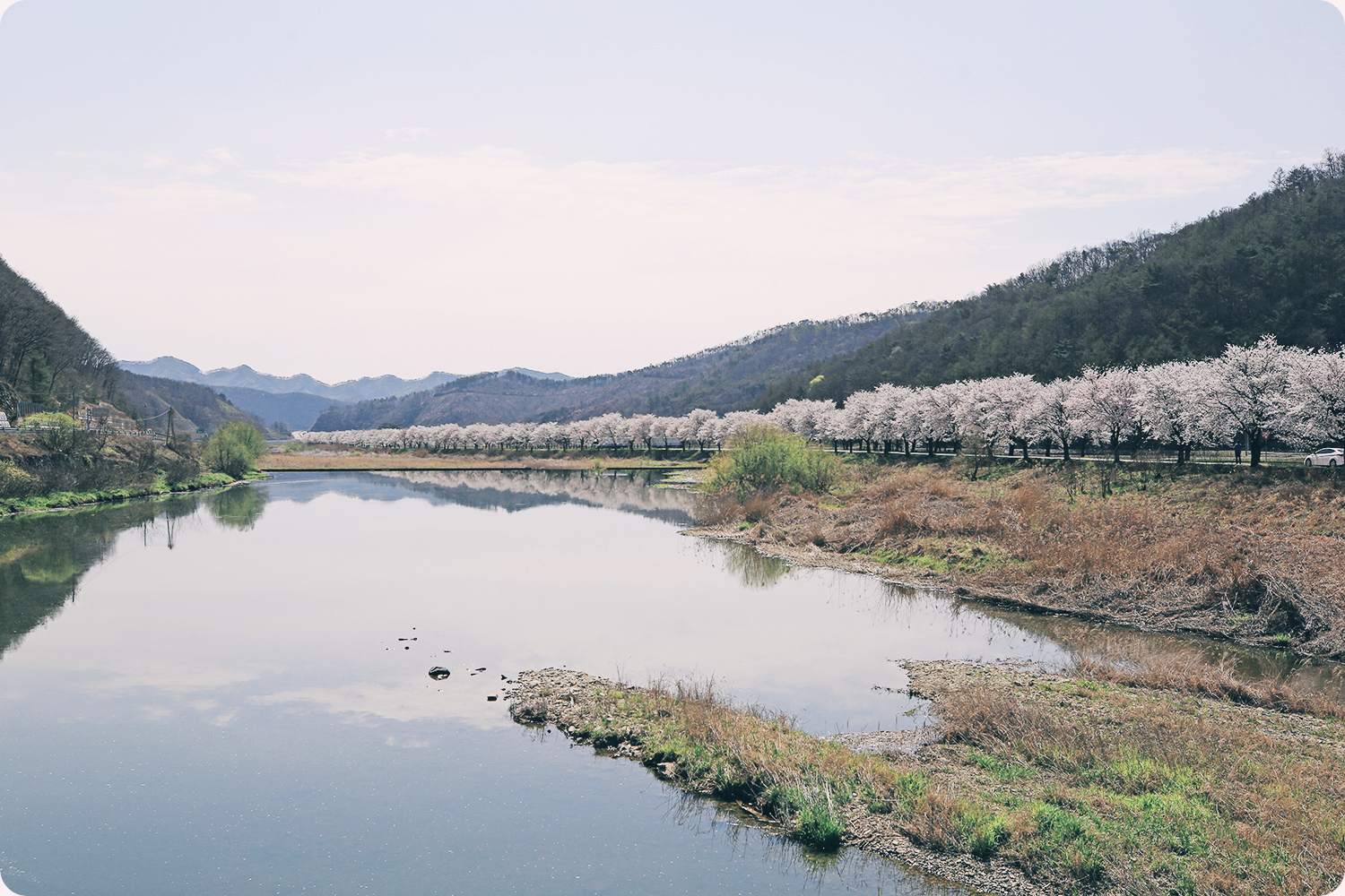 어쩌다마주친그대 미원천