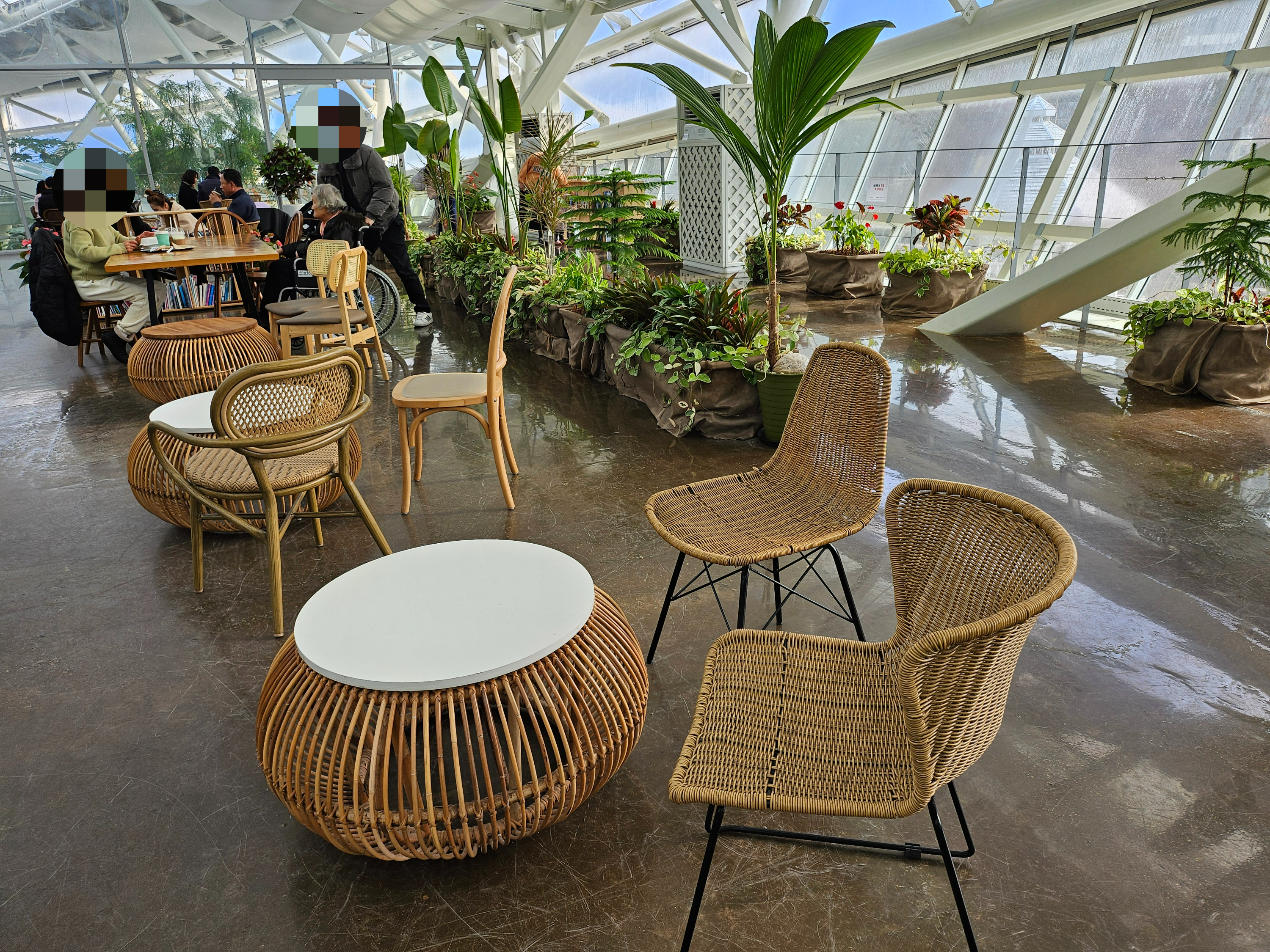 겨울 실내 아이와 가볼만한곳 부천호수공원 식물원 수피아