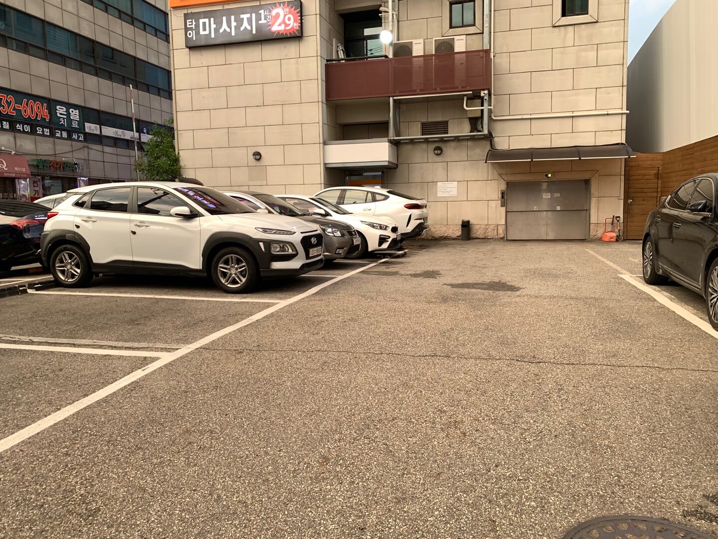 동물-약국