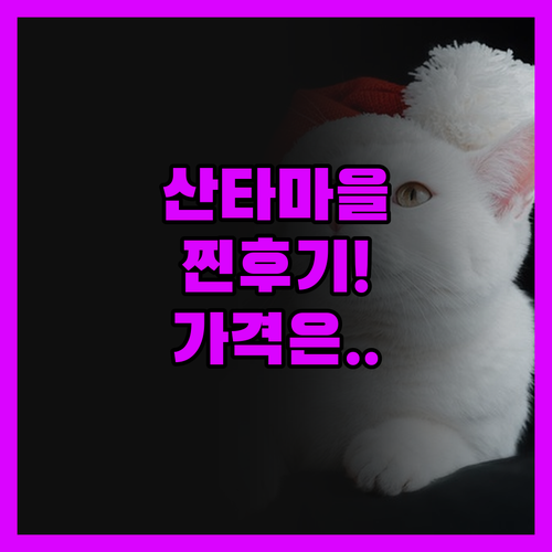 산타스 이글루 아틱 서클 진실 후기!