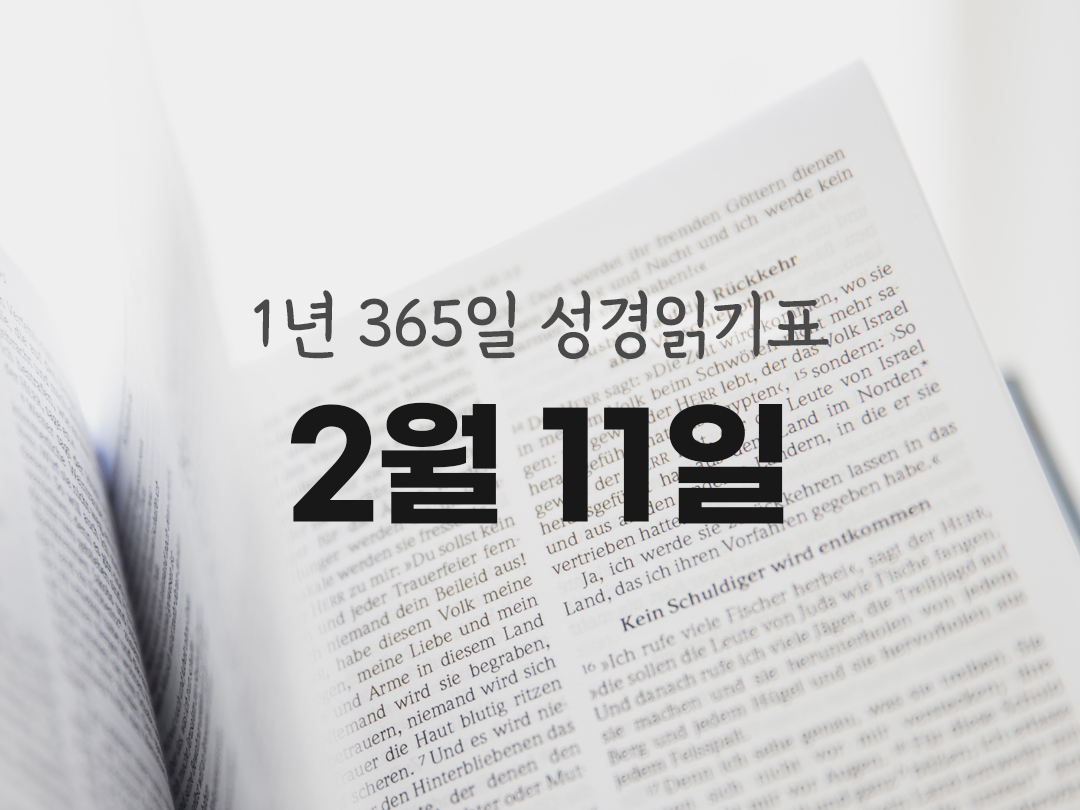 1년 365일 성경읽기표 2월 11일 성겨읽기 진도표