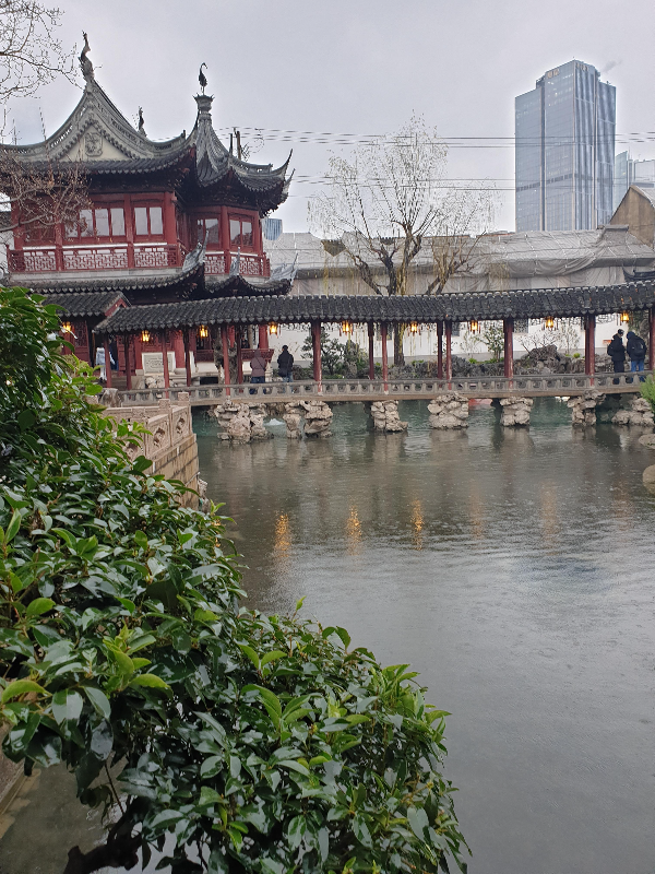 예원과 뒤쪽 현대적 건물이 함께[ 있는 모습이 새롭다.