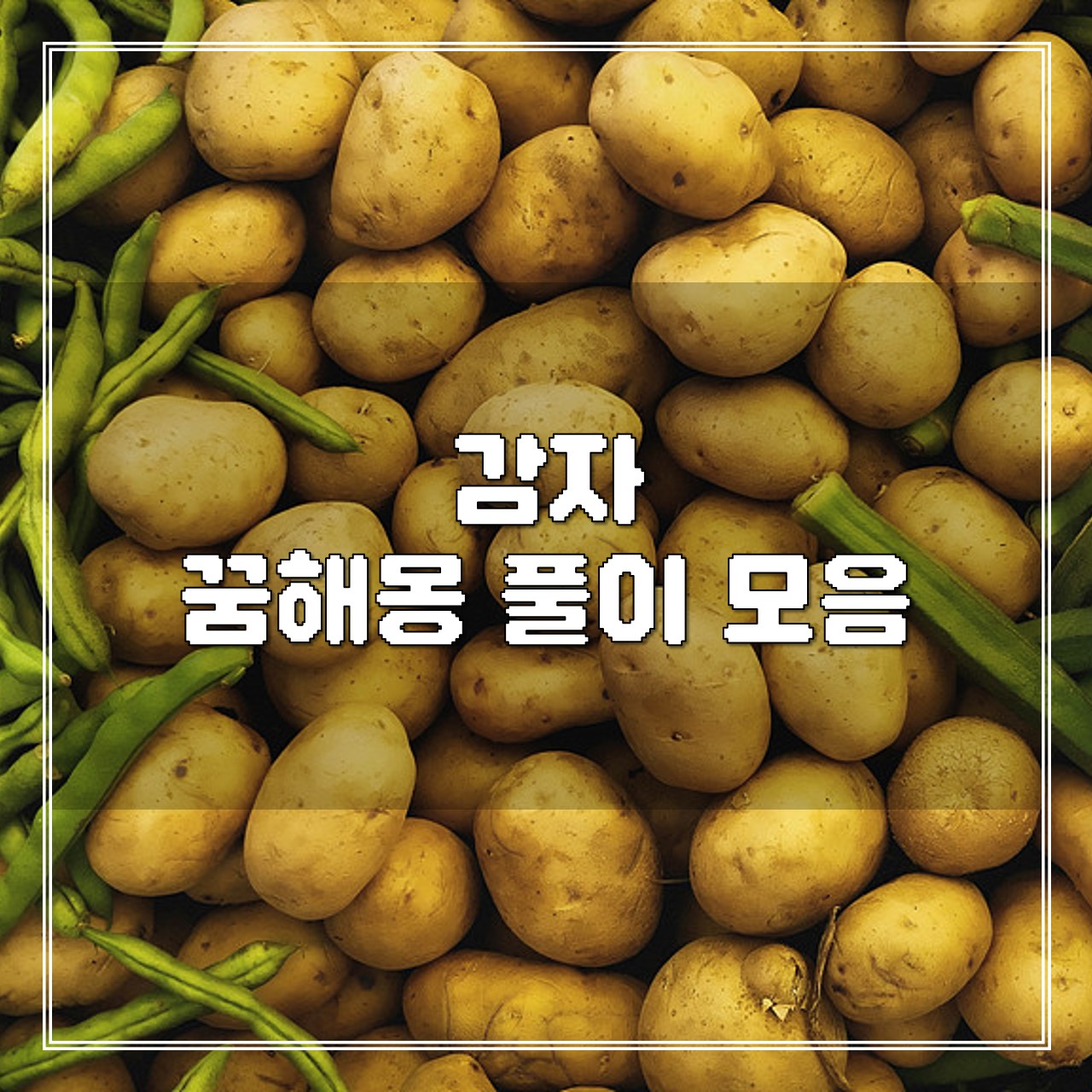 감자 꿈해몽 풀이 모음 썸네일