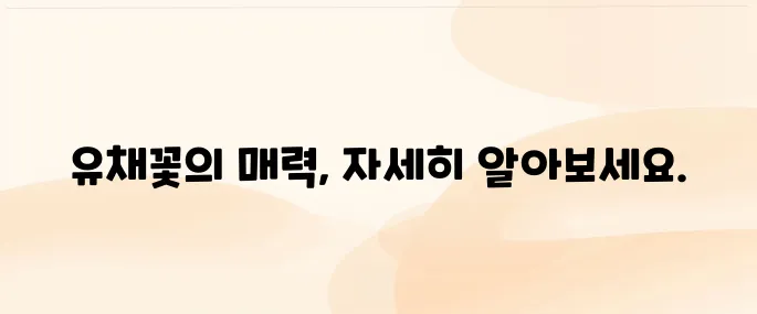 5월 축제 구리 유채꽃 축제 일정 및 가는길, 주차, 편의시설 안내