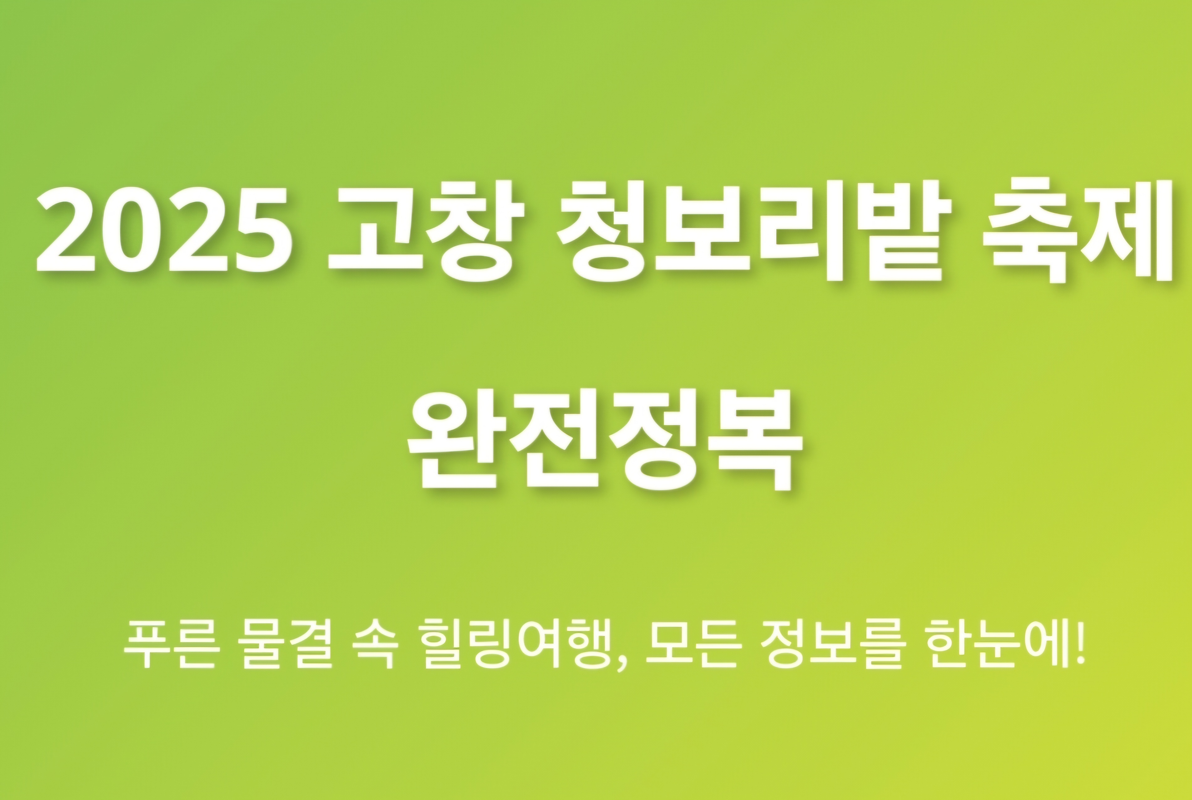 고창 청보리밭 축제 완전정복! 기본정보부터 일정까지 총정리