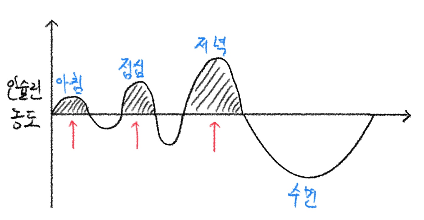 인슐린_농도_그래프_정상