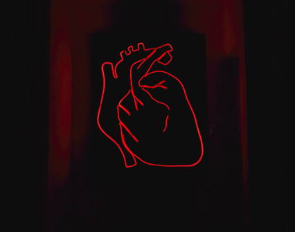 마그네슘 부족 증상 : 부정맥