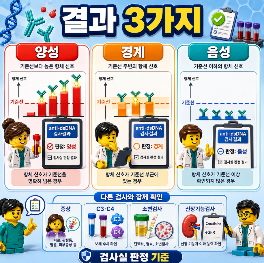 검사기관과 검사법이 달라질 때 anti-dsDNA 결과를 직접 비교하기 어려운 이유를 설명하는 의료 인포그래픽