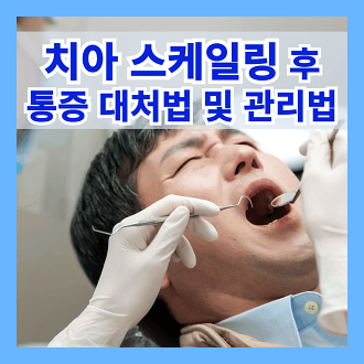 치아 스케일링 후 통증 대처법 및 스케일링 후 통증 관리에 좋은 음료