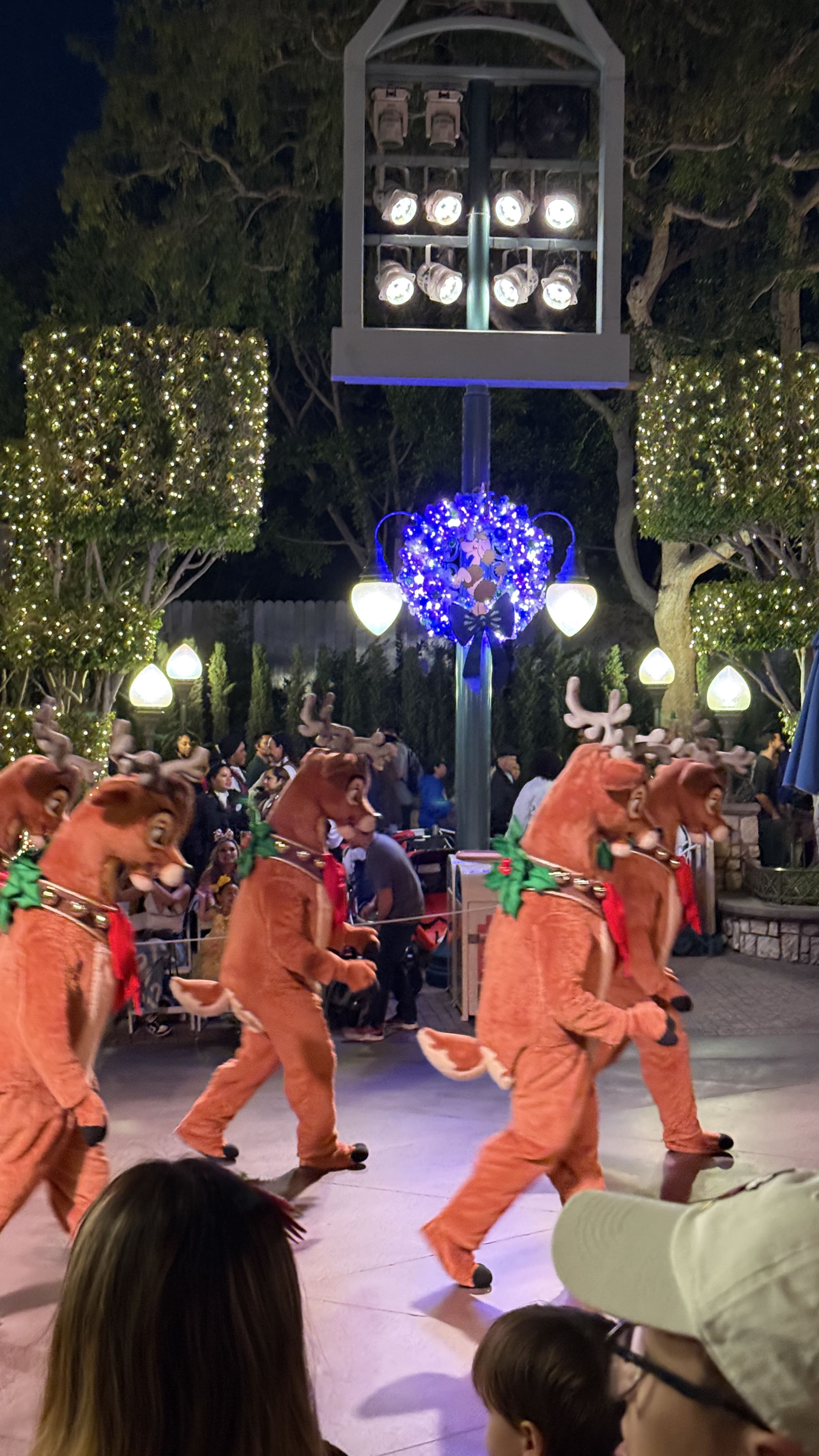 LA 디즈니랜드 캘리포니아 크리스마스