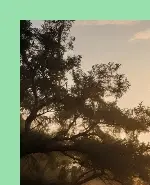 혈액순환 개선하는 생활습관