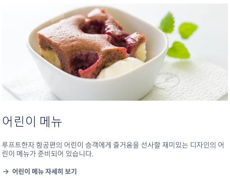 루프트 한자 기내식 종류 변경 방법 (무료)