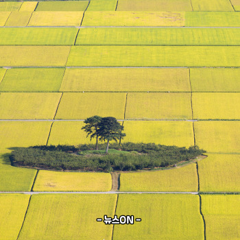 11월에 가볼만한 국내 여행지