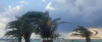 제주 강풍 경보 올레길 구간 선택 산책 속도 조절_33