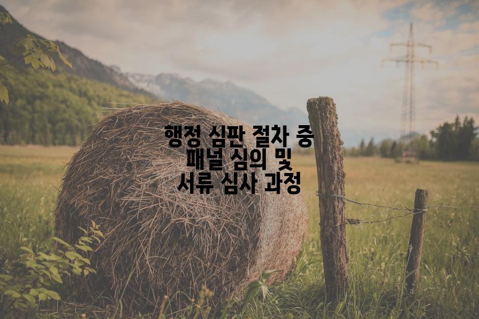 행정 심판 절차 중 패널 심의 및 서류 심사 과정