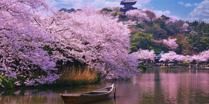 벚꽃과 어울리는 감성 글귀 모음