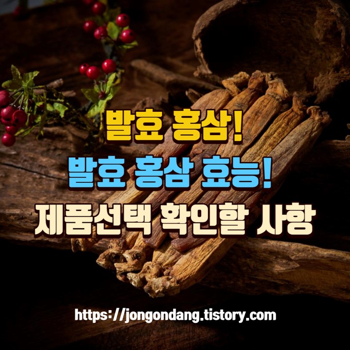 발효 홍삼, 발효 홍삼의 효능, 제품 선택 시 확인 사항 이미지