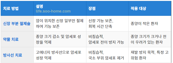 신장암 1기의 치료 방법