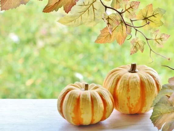 수면 질 개선에 도움을 주는 호박씨 효능