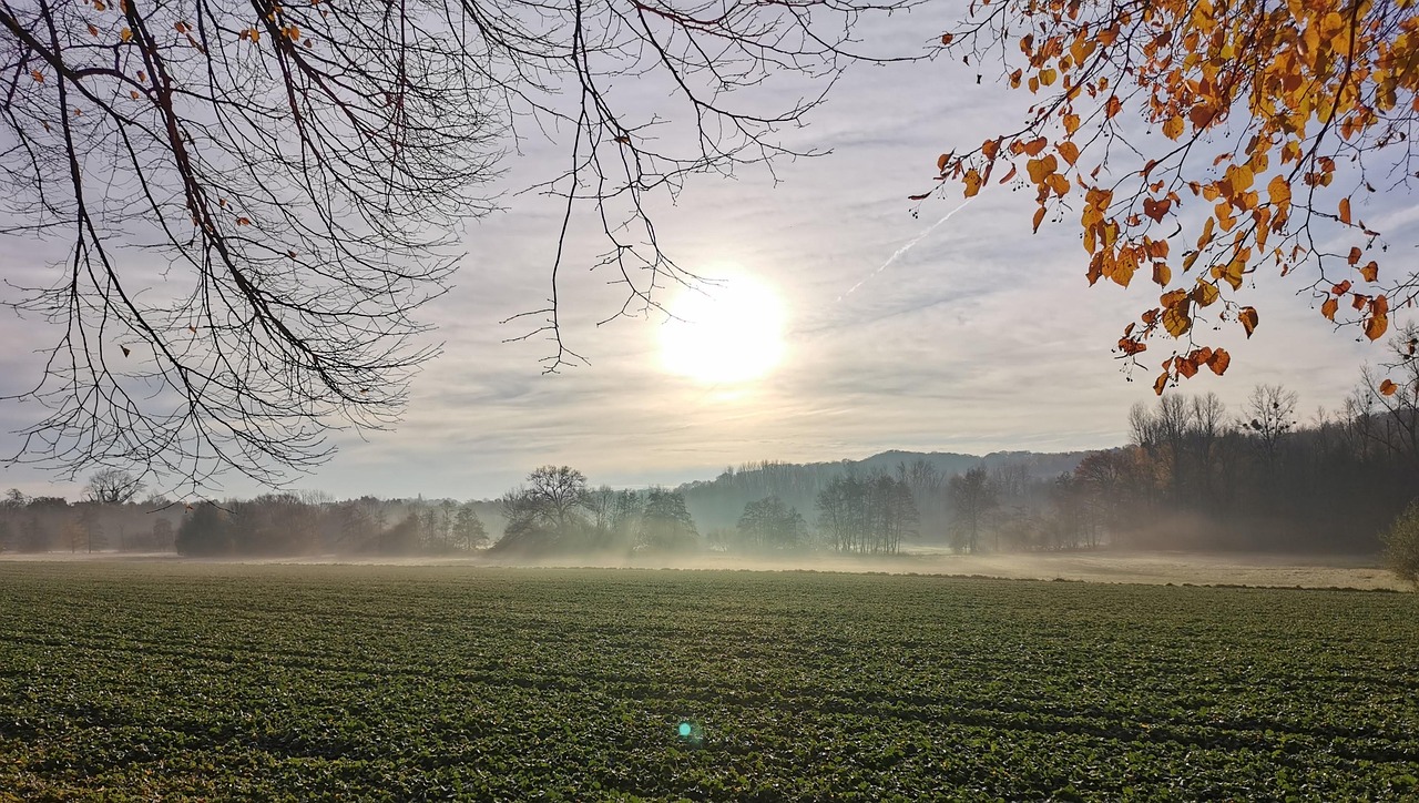 미세먼지 외출팁