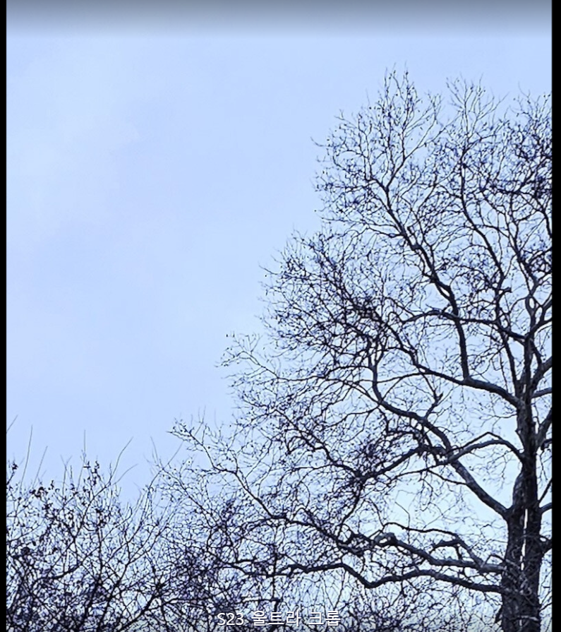 갤럭시 S23 울트라 카메라 사진 주간 사진 크롭