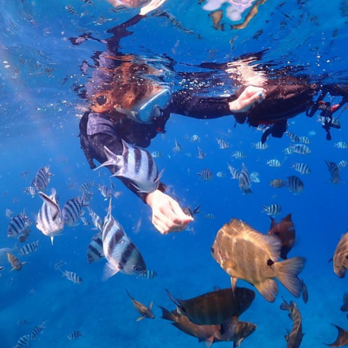 오키나와 스노클링