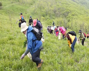 영양 산나물축제_3