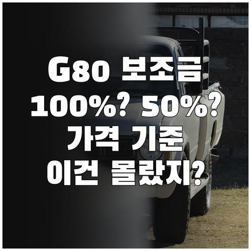 G80 전기차 보조금 100% 50%..