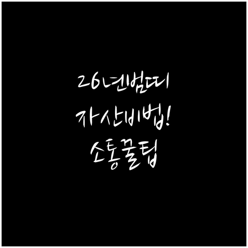 70대 범띠 2026년 신년 운세 자..