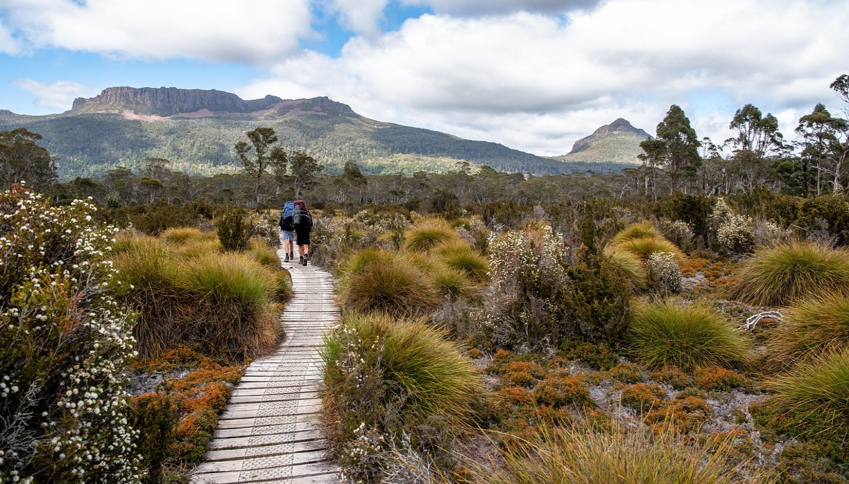 호주 태즈메이니아 오버랜드 트랙