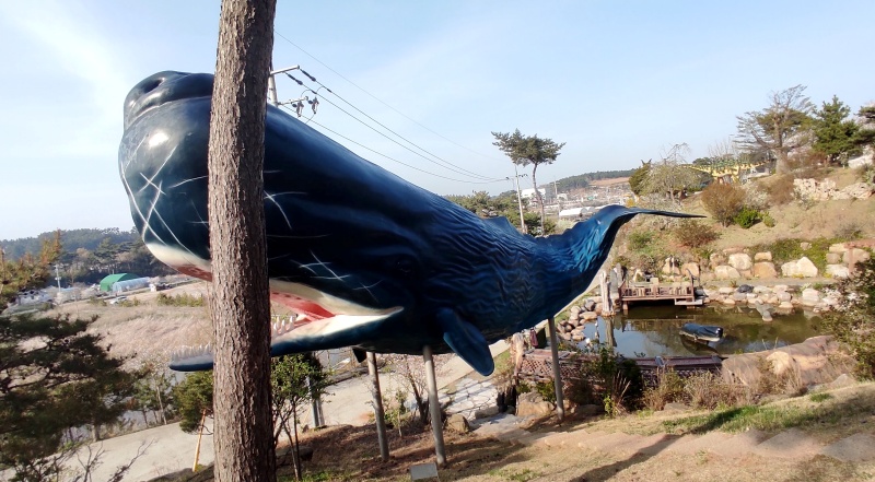 커다란 고래 모형