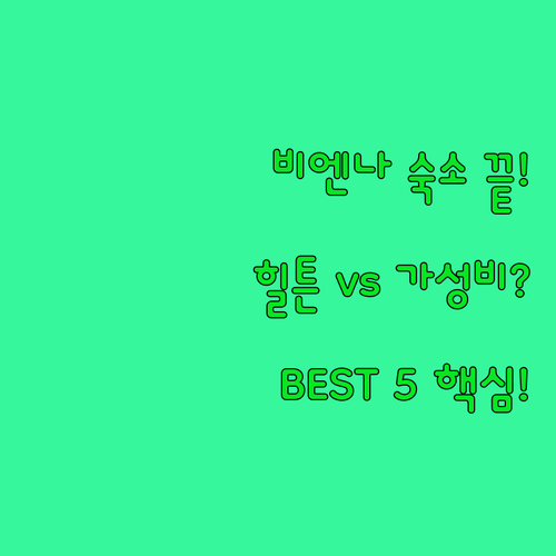 비엔나 숙소 고민 끝 힐튼부터 20만..