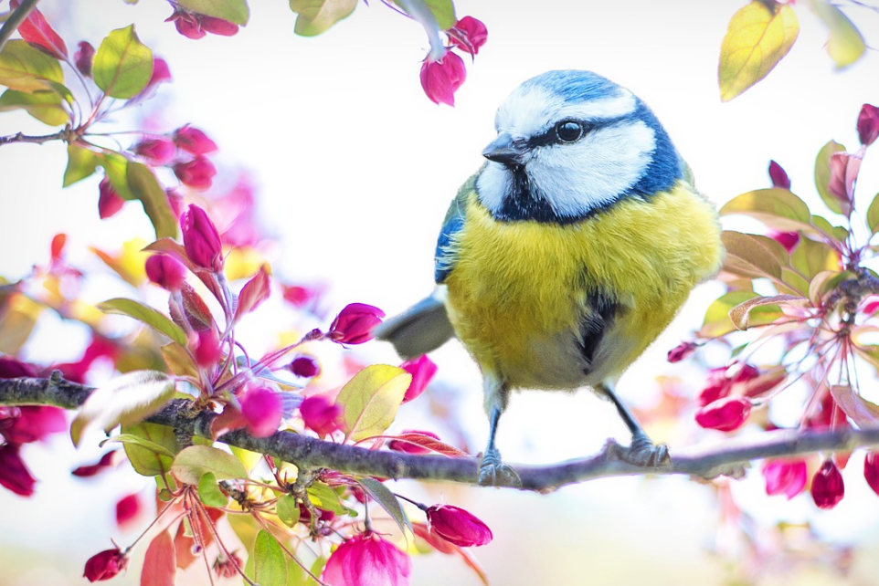 월요일 아침인사말