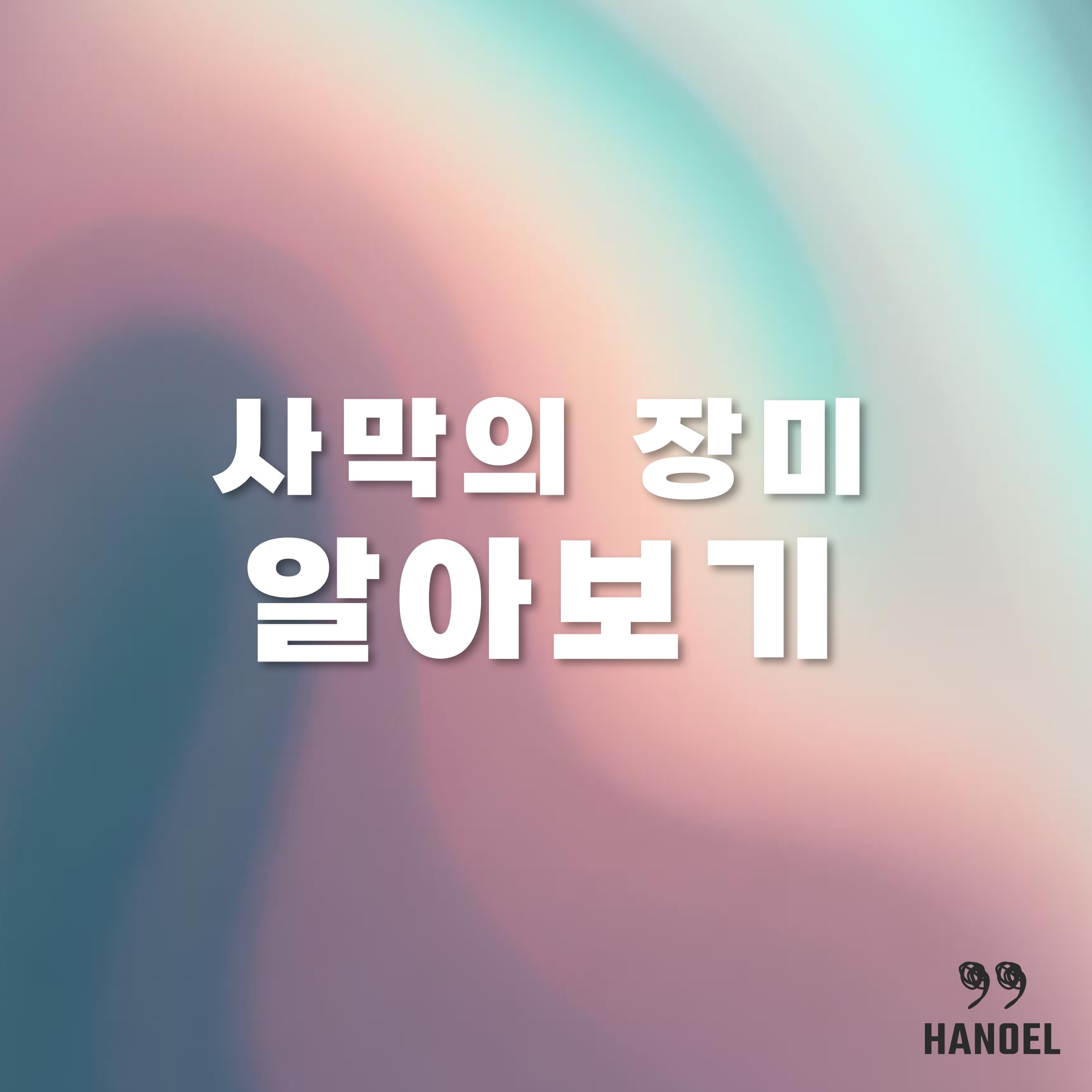 사막의장미 알아보기 키우기 꽃말 등