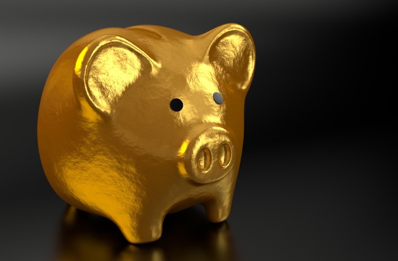 사회초년생 재테크 사진