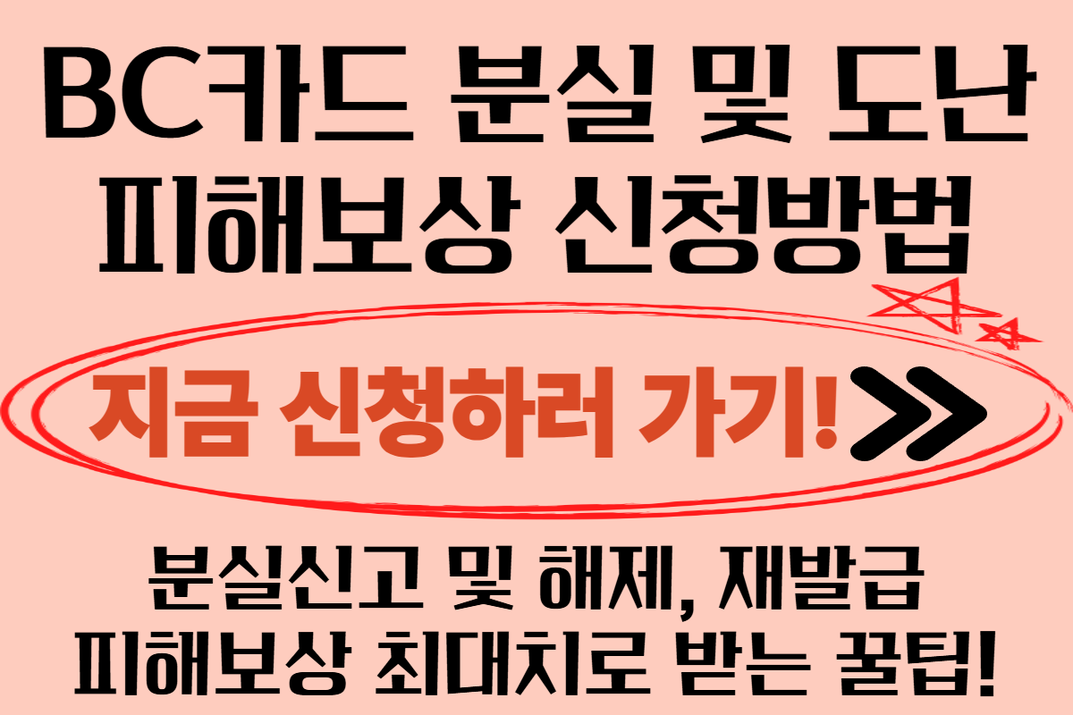 BC카드 분실신고 피해보상