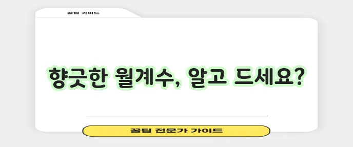 월계수잎 보관법과 섭취 시 주의사항은 꼭 확인하세요