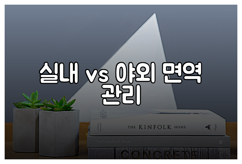 실내 vs 야외 면역 관리
