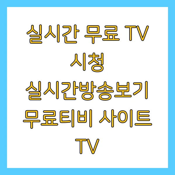 실시간 무료 TV 시청 완벽 가이드, 2025년 최신 정보 &amp; 합법적인 시청 꿀팁 대방출!