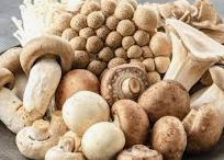 버섯이 체취를 줄여준다 - 과학으로 살펴본 여름철 냄새 관리 전략