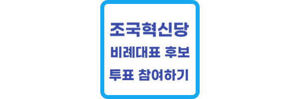 조국혁신당-비례대표